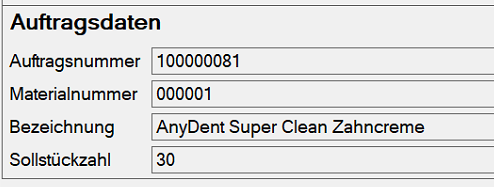 Auftragsdaten Auftragsdaten